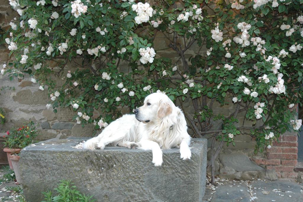 Locanda Casanuova Figline Valdarno Bagian luar foto