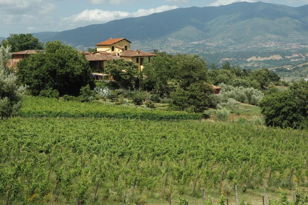 Locanda Casanuova Figline Valdarno Bagian luar foto